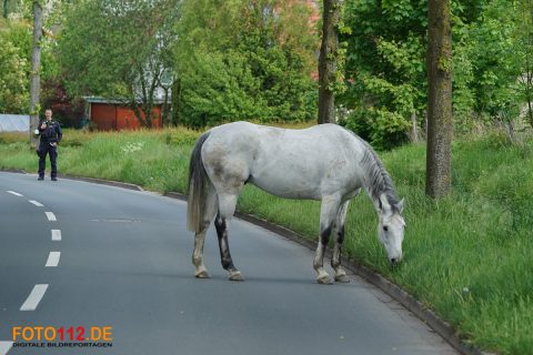 Merklinder-Strasse-brennt-Photovoltaikanlage-096