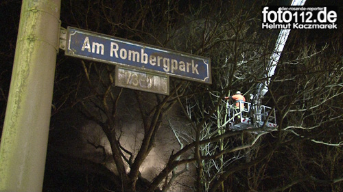 feuer-am-rombergpark-38-8